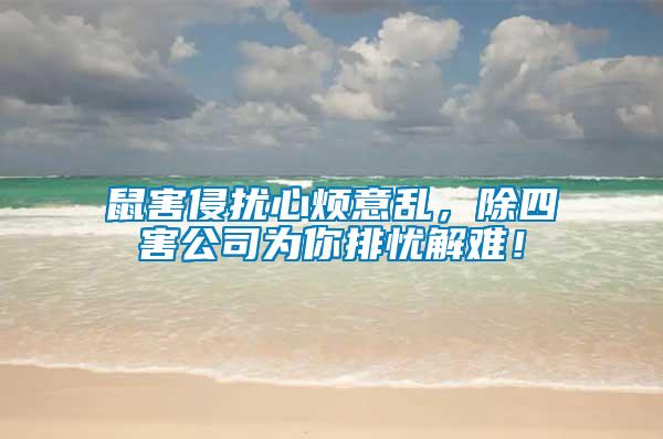 鼠害侵?jǐn)_心煩意亂，除四害公司為你排憂解難！