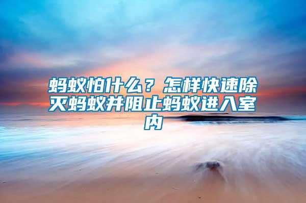 螞蟻怕什么？怎樣快速除滅螞蟻并阻止螞蟻進入室內(nèi)