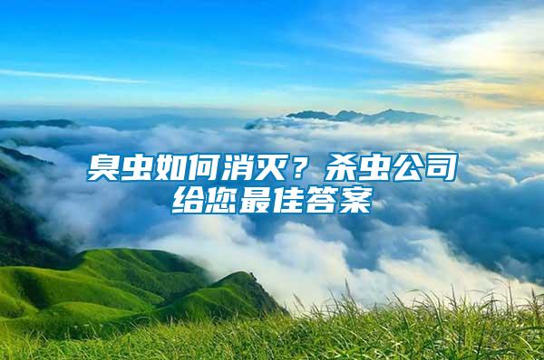 臭蟲如何消滅？殺蟲公司給您最佳答案