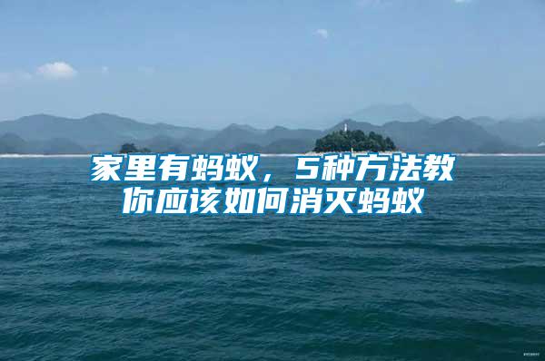 家里有螞蟻，5種方法教你應(yīng)該如何消滅螞蟻