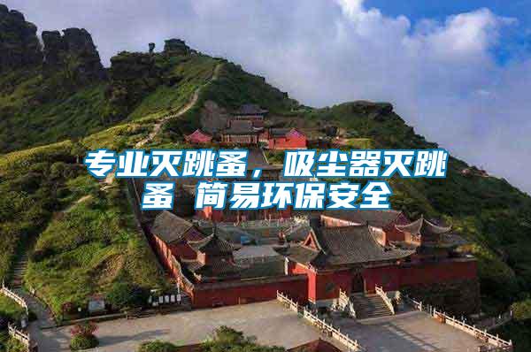 專業(yè)滅跳蚤，吸塵器滅跳蚤 簡易環(huán)保安全