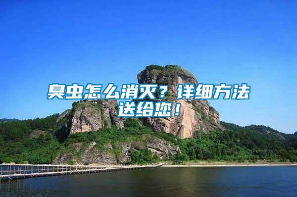 臭蟲怎么消滅？詳細方法送給您！