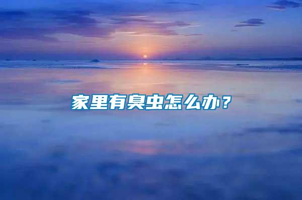 家里有臭蟲怎么辦？