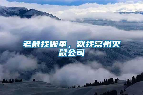 老鼠找哪里，就找常州滅鼠公司