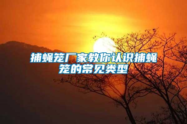 捕蠅籠廠家教你認(rèn)識(shí)捕蠅籠的常見(jiàn)類(lèi)型