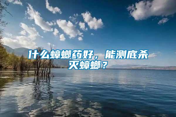 什么蟑螂藥好，能測底殺滅蟑螂？