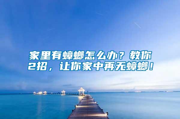 家里有蟑螂怎么辦？教你2招，讓你家中再無蟑螂！