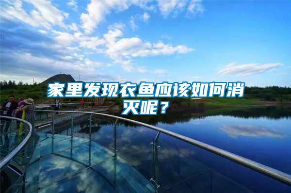 家里發(fā)現(xiàn)衣魚應(yīng)該如何消滅呢？