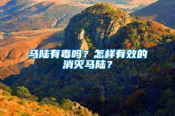馬陸有毒嗎？怎樣有效的消滅馬陸？