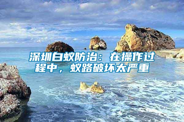 深圳白蟻防治：在操作過程中，蟻路破壞太嚴(yán)重