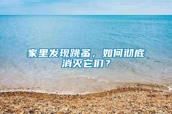 家里發(fā)現(xiàn)跳蚤，如何徹底消滅它們？