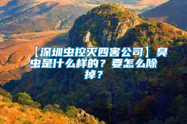 【深圳蟲控滅四害公司】臭蟲是什么樣的？要怎么除掉？