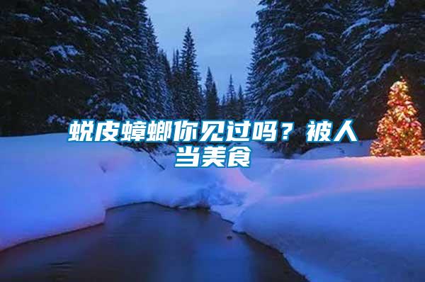 蛻皮蟑螂你見過嗎？被人當美食