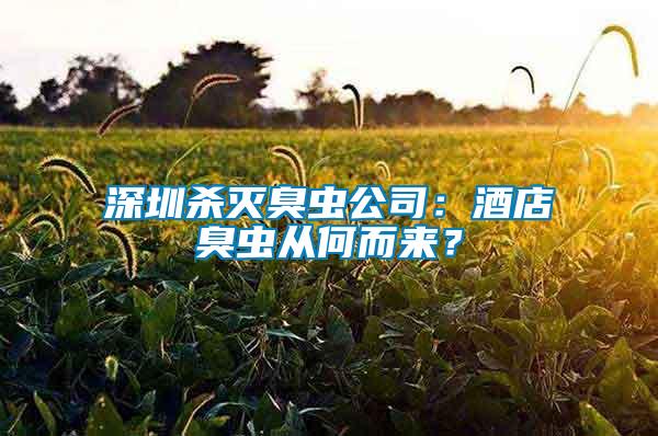 深圳殺滅臭蟲(chóng)公司：酒店臭蟲(chóng)從何而來(lái)？
