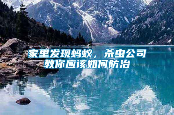 家里發(fā)現(xiàn)螞蟻，殺蟲公司教你應該如何防治