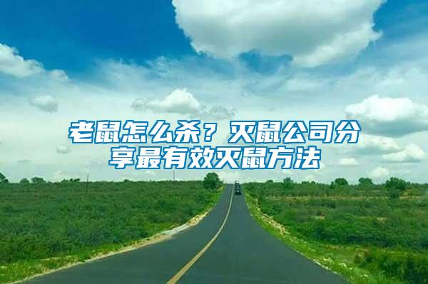 老鼠怎么殺？滅鼠公司分享最有效滅鼠方法