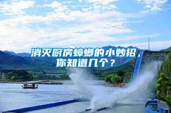 消滅廚房蟑螂的小妙招，你知道幾個？