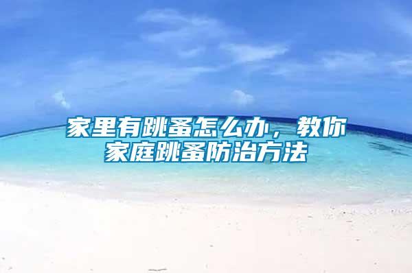 家里有跳蚤怎么辦，教你家庭跳蚤防治方法