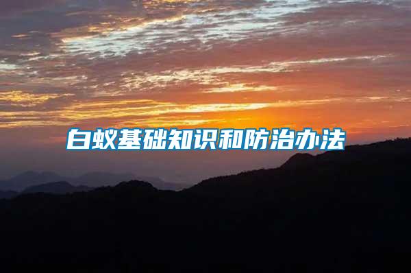 白蟻基礎(chǔ)知識(shí)和防治辦法