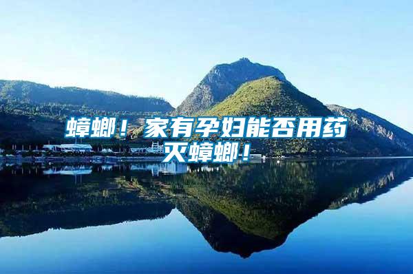 蟑螂！家有孕婦能否用藥滅蟑螂！