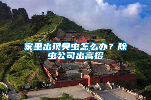 家里出現(xiàn)臭蟲怎么辦？除蟲公司出高招