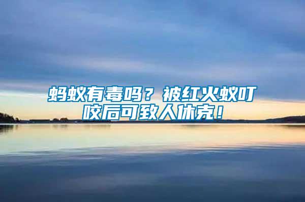 螞蟻有毒嗎？被紅火蟻叮咬后可致人休克！