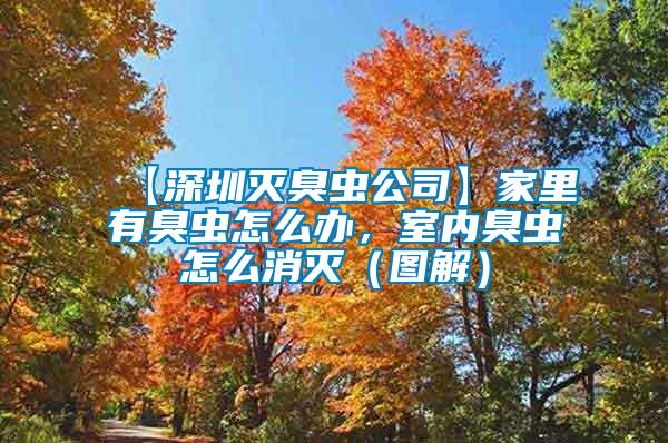 【深圳滅臭蟲公司】家里有臭蟲怎么辦，室內(nèi)臭蟲怎么消滅（圖解）