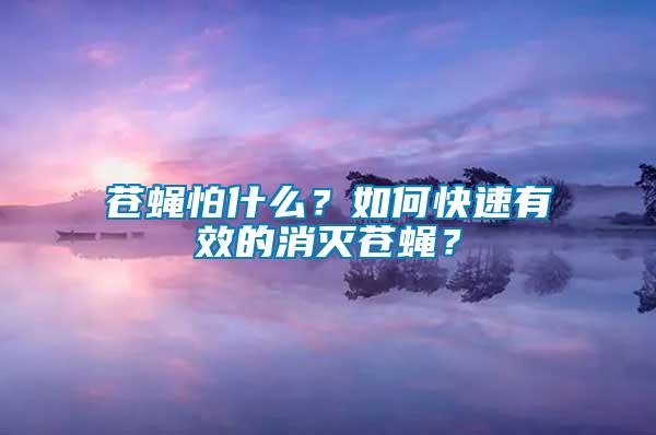 蒼蠅怕什么？如何快速有效的消滅蒼蠅？