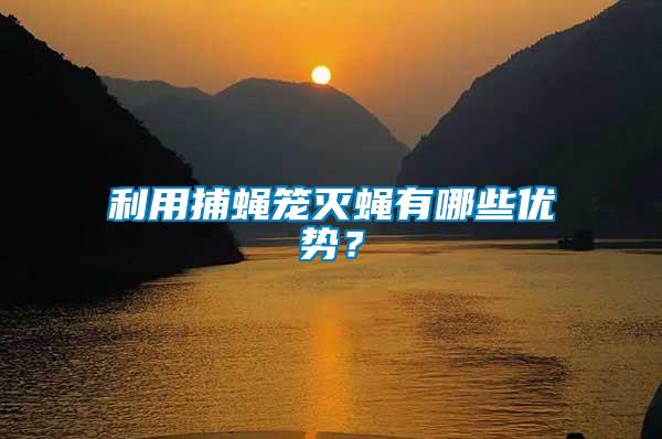 利用捕蠅籠滅蠅有哪些優(yōu)勢(shì)？