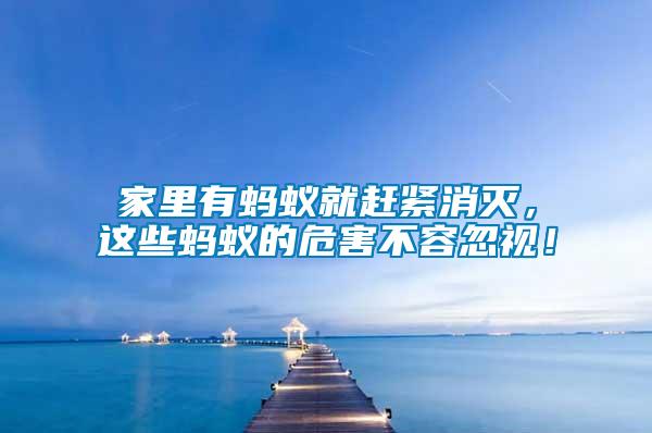 家里有螞蟻就趕緊消滅，這些螞蟻的危害不容忽視！