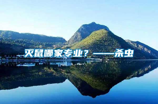 滅鼠哪家專業(yè)？——殺蟲