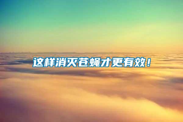 這樣消滅蒼蠅才更有效！