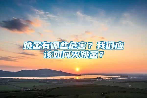 跳蚤有哪些危害？我們應(yīng)該如何滅跳蚤？