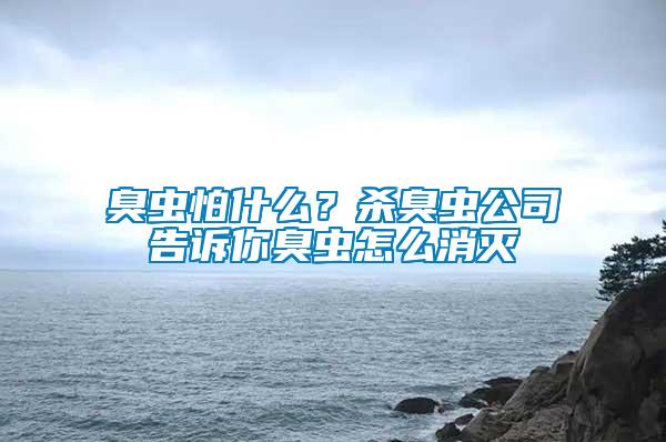 臭蟲(chóng)怕什么？殺臭蟲(chóng)公司告訴你臭蟲(chóng)怎么消滅