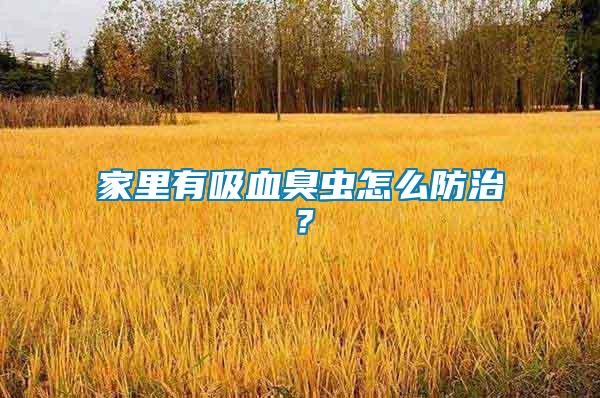 家里有吸血臭蟲怎么防治？