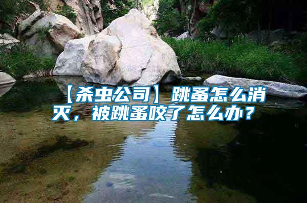 【殺蟲公司】跳蚤怎么消滅，被跳蚤咬了怎么辦？
