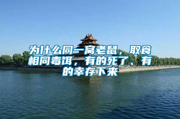 為什么同一窩老鼠，取食相同毒餌，有的死了、有的幸存下來