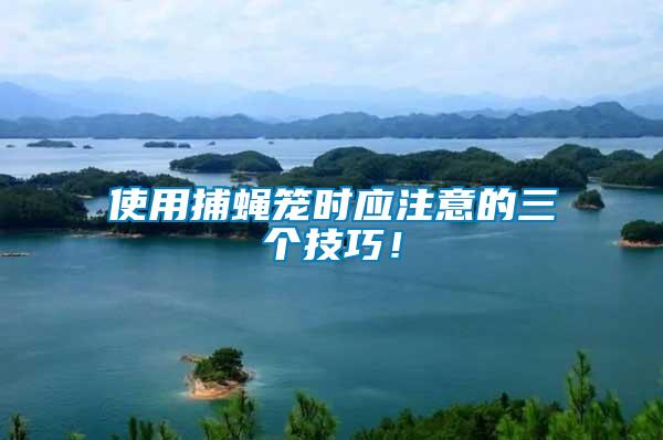 使用捕蠅籠時(shí)應(yīng)注意的三個(gè)技巧！