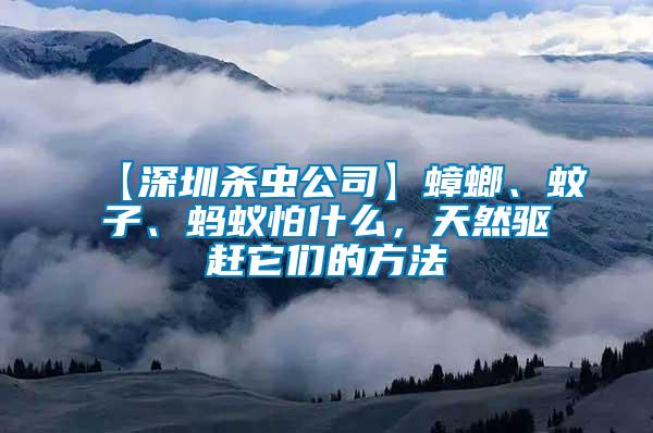 【深圳殺蟲(chóng)公司】蟑螂、蚊子、螞蟻怕什么，天然驅(qū)趕它們的方法