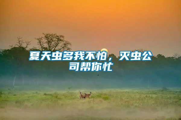 夏天蟲(chóng)多我不怕，滅蟲(chóng)公司幫你忙