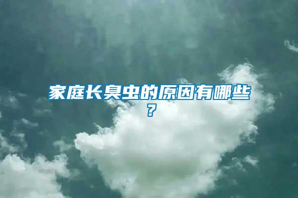 家庭長臭蟲的原因有哪些？