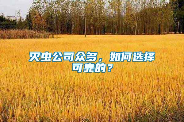 滅蟲公司眾多，如何選擇可靠的？