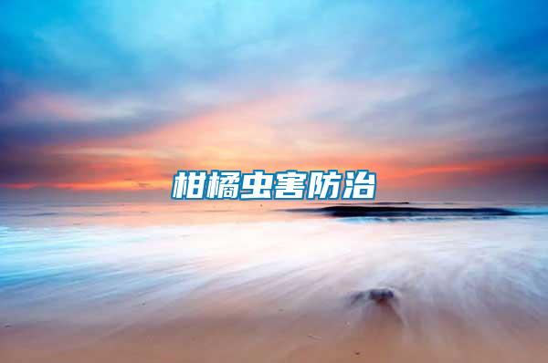 柑橘蟲害防治