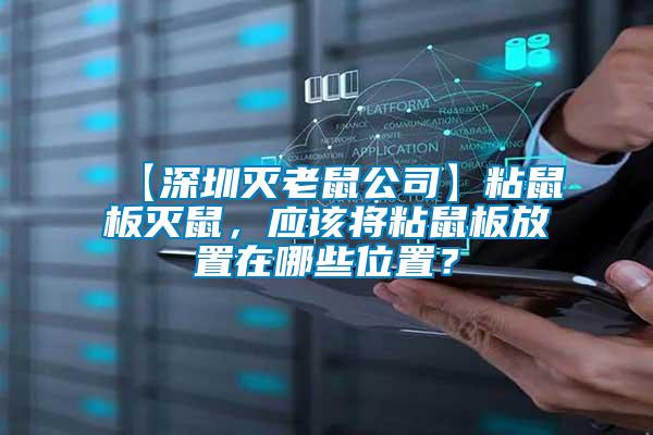 【深圳滅老鼠公司】粘鼠板滅鼠，應(yīng)該將粘鼠板放置在哪些位置？