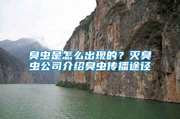 臭蟲是怎么出現(xiàn)的？滅臭蟲公司介紹臭蟲傳播途徑