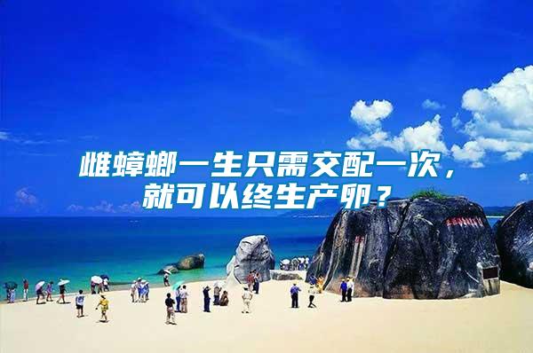 雌蟑螂一生只需交配一次，就可以終生產(chǎn)卵？