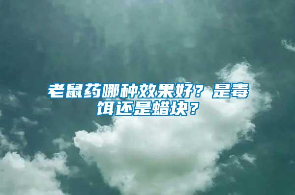 老鼠藥哪種效果好？是毒餌還是蠟塊？