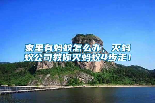 家里有螞蟻怎么辦，滅螞蟻公司教你滅螞蟻4步走！