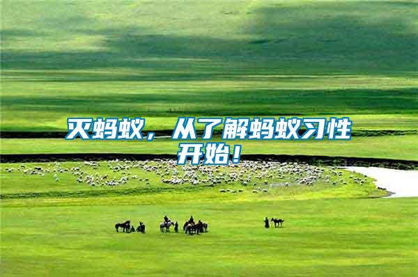滅螞蟻，從了解螞蟻習(xí)性開始！