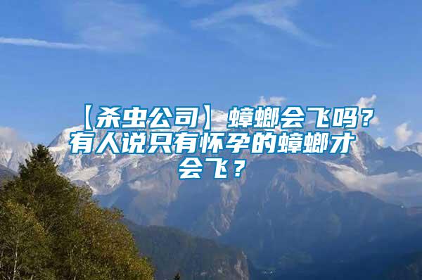 【殺蟲公司】蟑螂會飛嗎？有人說只有懷孕的蟑螂才會飛？